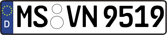 MS-VN9519