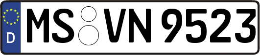 MS-VN9523