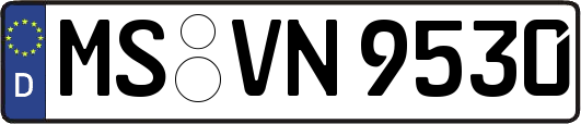 MS-VN9530