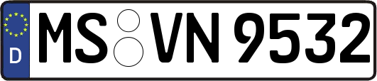 MS-VN9532