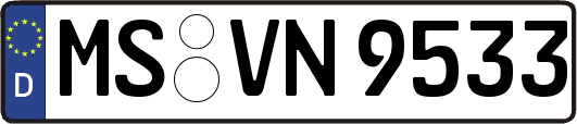 MS-VN9533