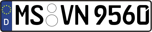 MS-VN9560