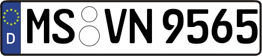 MS-VN9565