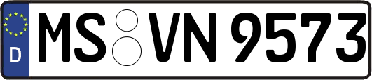 MS-VN9573