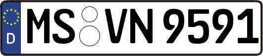 MS-VN9591