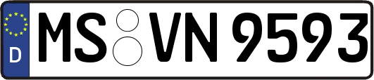 MS-VN9593