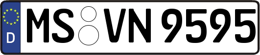 MS-VN9595