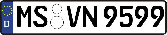 MS-VN9599