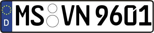 MS-VN9601