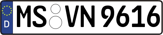 MS-VN9616