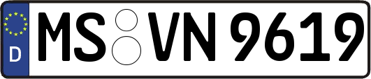 MS-VN9619