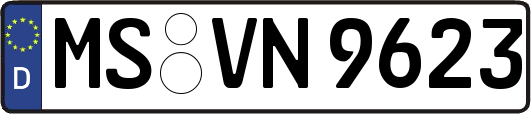MS-VN9623