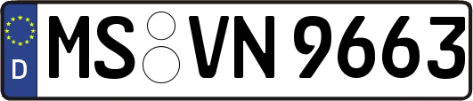 MS-VN9663
