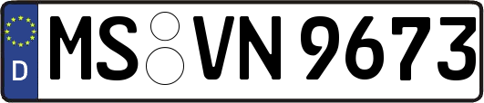 MS-VN9673