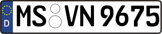 MS-VN9675