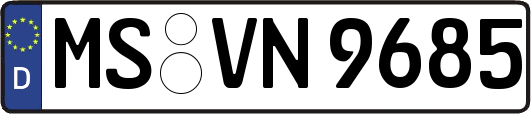 MS-VN9685
