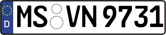 MS-VN9731