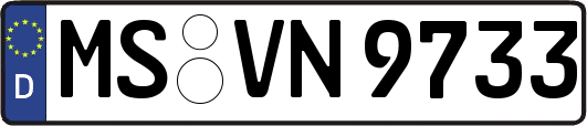 MS-VN9733