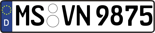 MS-VN9875