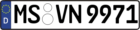 MS-VN9971