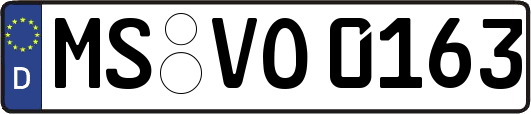 MS-VO0163