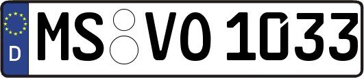 MS-VO1033