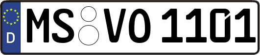 MS-VO1101
