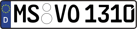 MS-VO1310