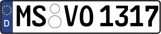 MS-VO1317
