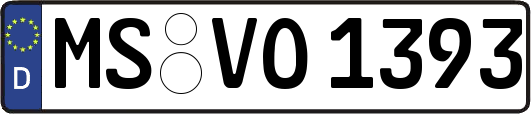 MS-VO1393