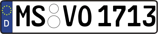 MS-VO1713