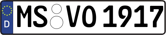 MS-VO1917