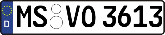 MS-VO3613