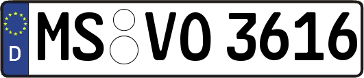 MS-VO3616