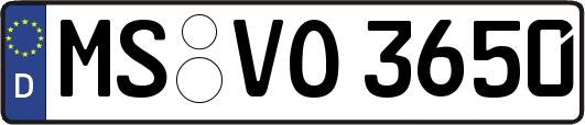 MS-VO3650