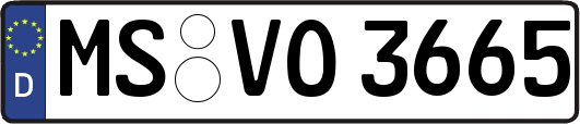 MS-VO3665