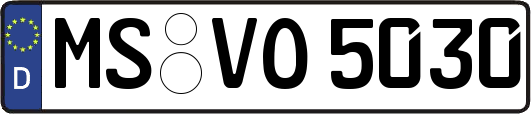 MS-VO5030