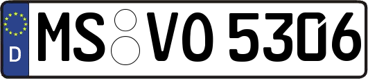 MS-VO5306