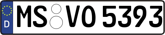 MS-VO5393