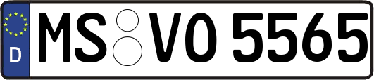 MS-VO5565