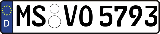 MS-VO5793