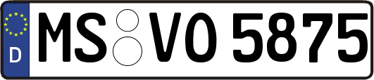 MS-VO5875