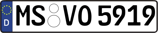 MS-VO5919