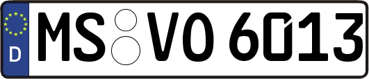 MS-VO6013