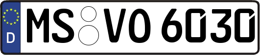 MS-VO6030