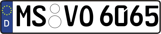 MS-VO6065