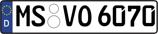MS-VO6070