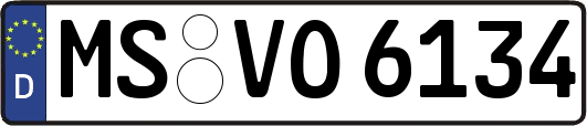 MS-VO6134