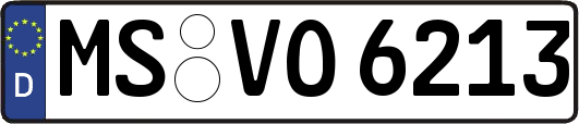 MS-VO6213