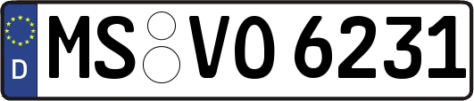 MS-VO6231